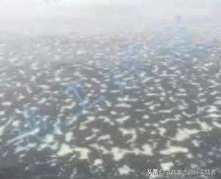 1594436454194036.png 22.png