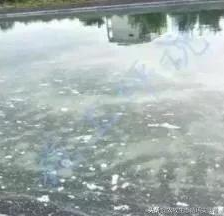 1594436448366103.png 11.png