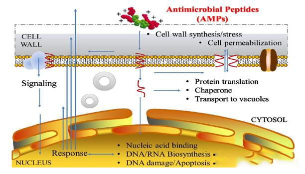 1598420982496609.jpg 微信圖片_20200826105510.jpg
